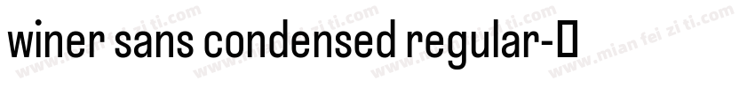 winer sans condensed regular字体转换